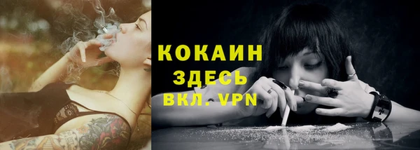 МДПВ Мегион