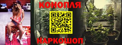 дживик Нальчик