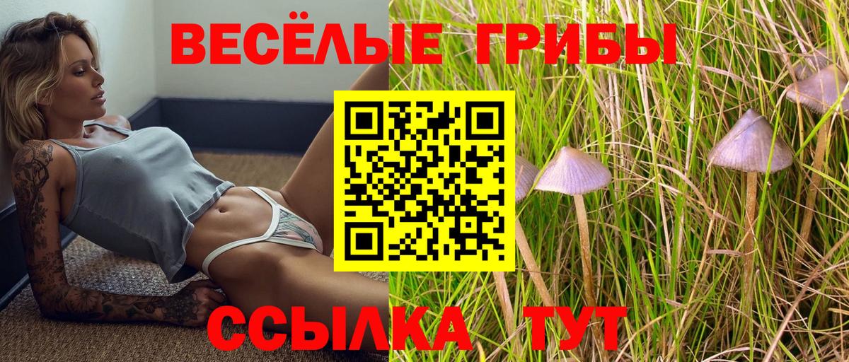 Псилоцибиновые грибы мухоморы Темрюк